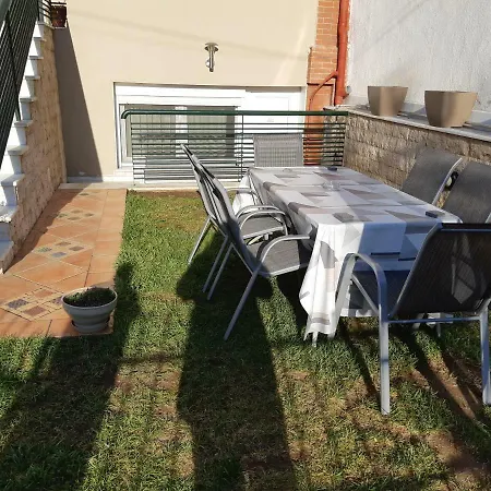 Smart Choice Neon Rysion