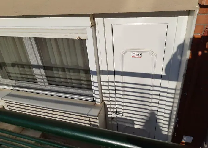 Smart Choice Neon Rysion