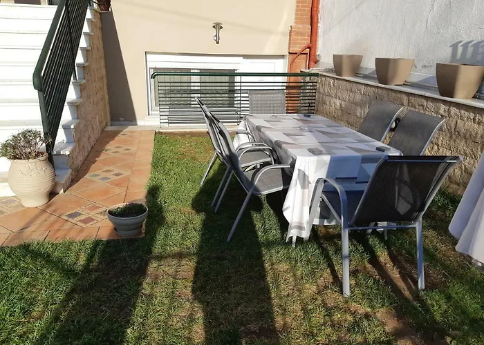 Smart Choice Neon Rysion