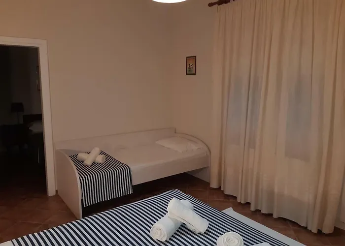 Smart Choice Neon Rysion